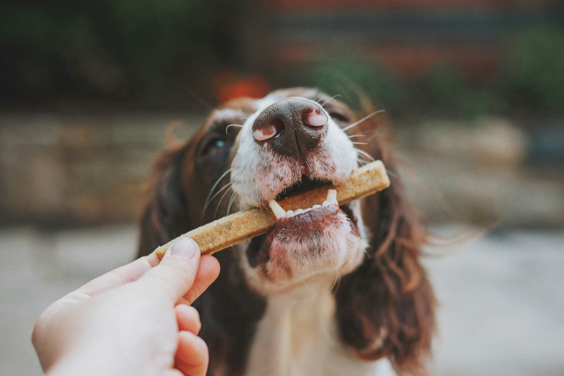 Doggie Treats