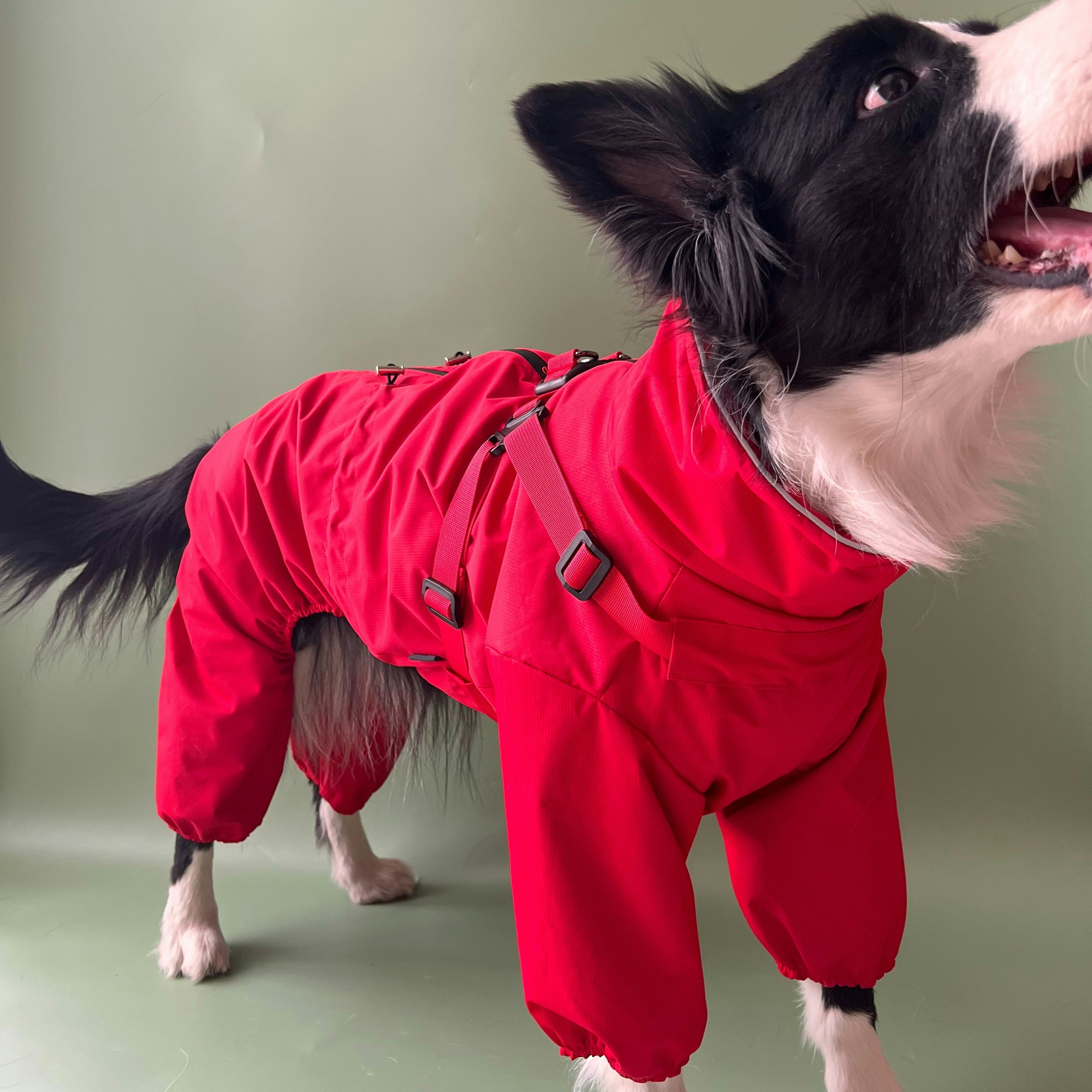 Pet Swag Shirts and Sweaters