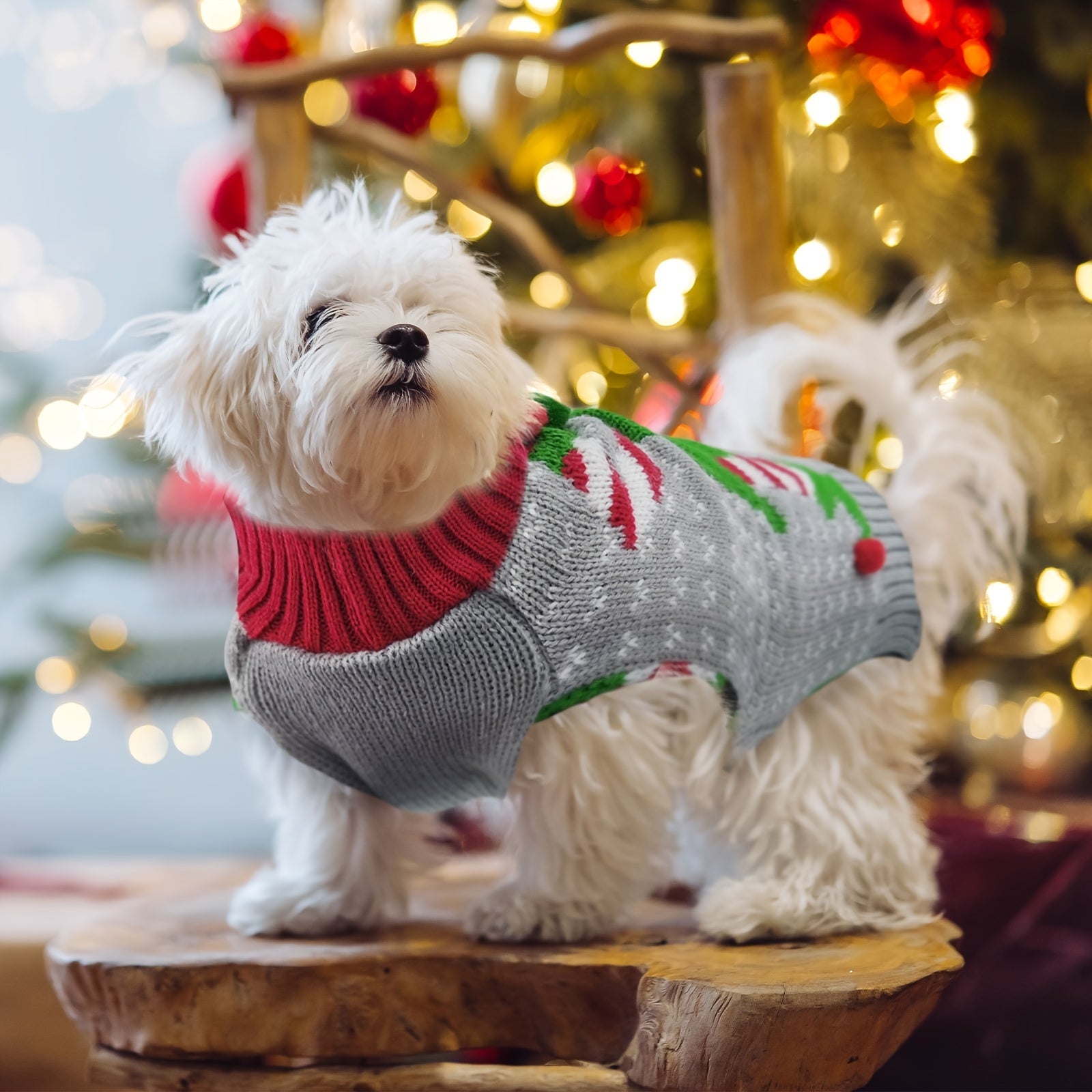 Dog Christmas Sweater Outfits for stocking stuffers