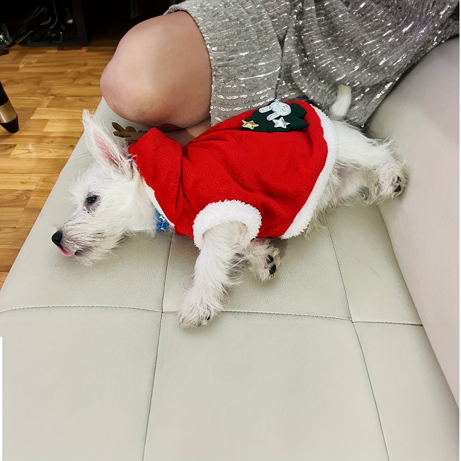 Small Medium Festive Christmas Costumes - Santa Claus Dog Suit with Hoodie