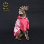 Dog Hooded Sweatshirt Shirts Clothing