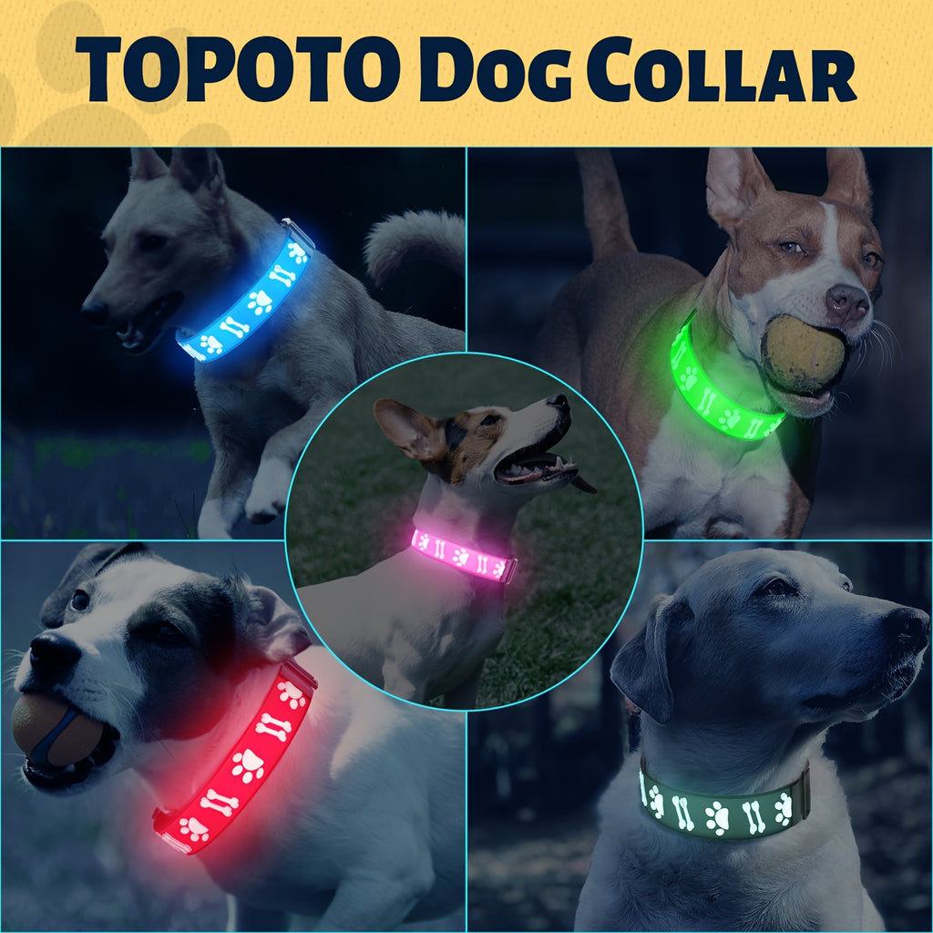 LED Light Up Collar Adjustable USB Rechargeable Bright Safety Glowing Light 3D Pattern