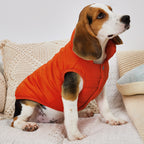 Small Med Solid Color Winter Warm Thickened Padded Pet Jacket Soft Comfortable