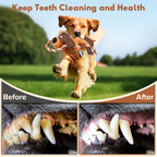 Dog Toy with Crinkle Paper and Squeaker, Interactive Tug of War Dog Toy