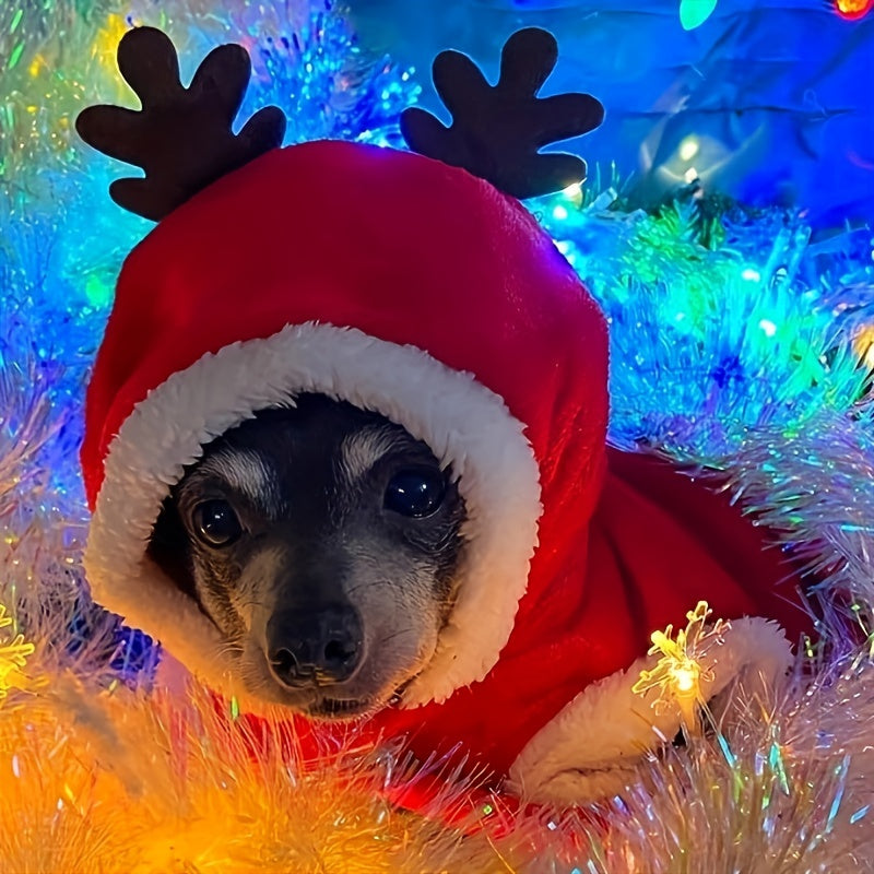 Small Medium Festive Christmas Costumes - Santa Claus Dog Suit with Hoodie