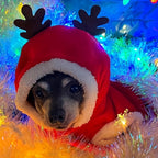 Small Medium Festive Christmas Costumes - Santa Claus Dog Suit with Hoodie