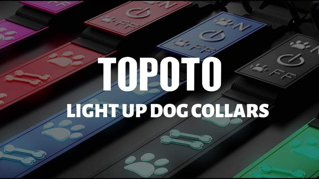 LED Light Up Collar Adjustable USB Rechargeable Bright Safety Glowing Light 3D Pattern