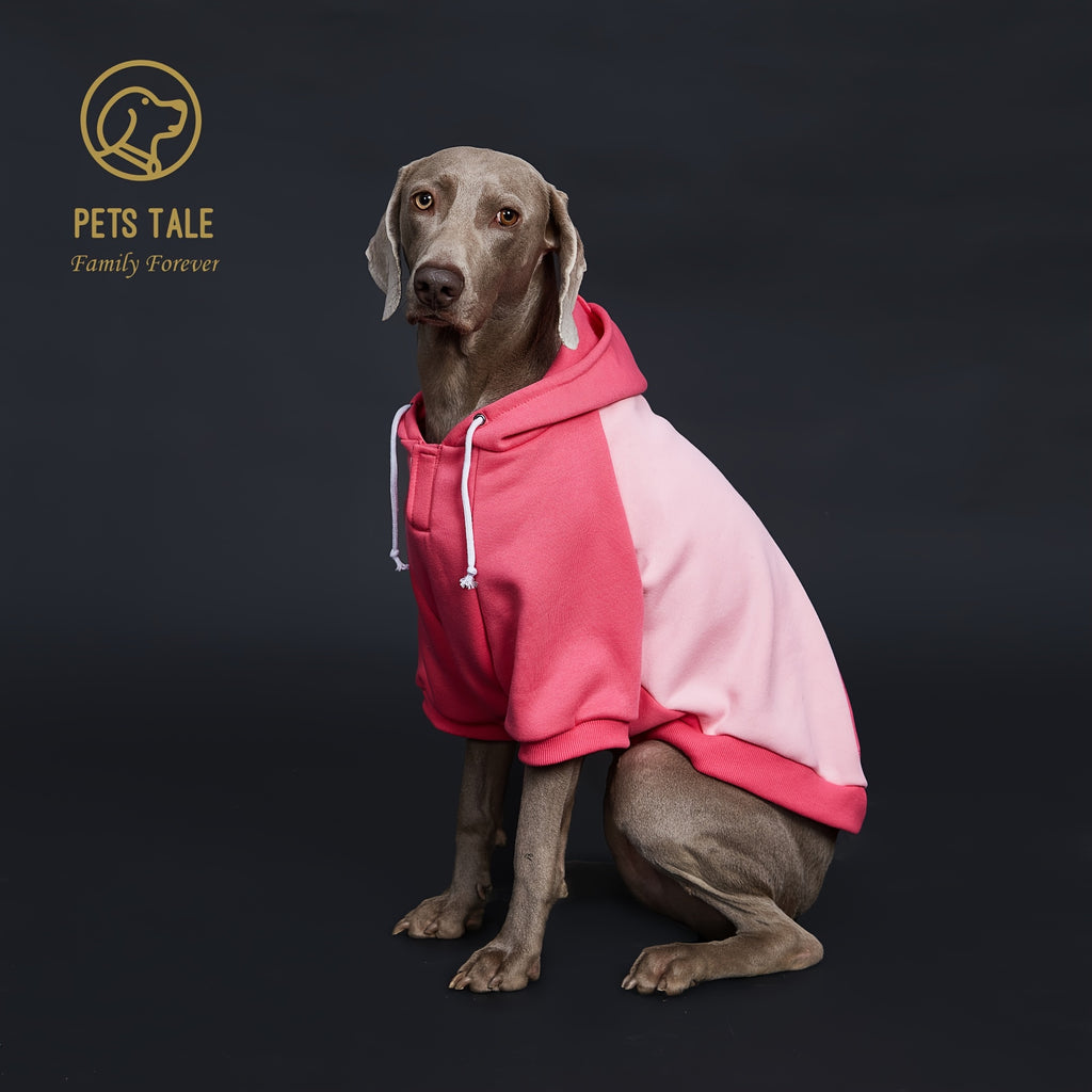 Dog Hooded Sweatshirt Shirts Clothing