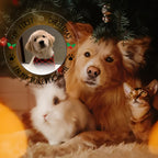 Custom Pet First Christmas Ornament - 3.9" Acrylic Photo Decor, Festive Holiday Pendant for Cats & Dogs, Christmas Decor
