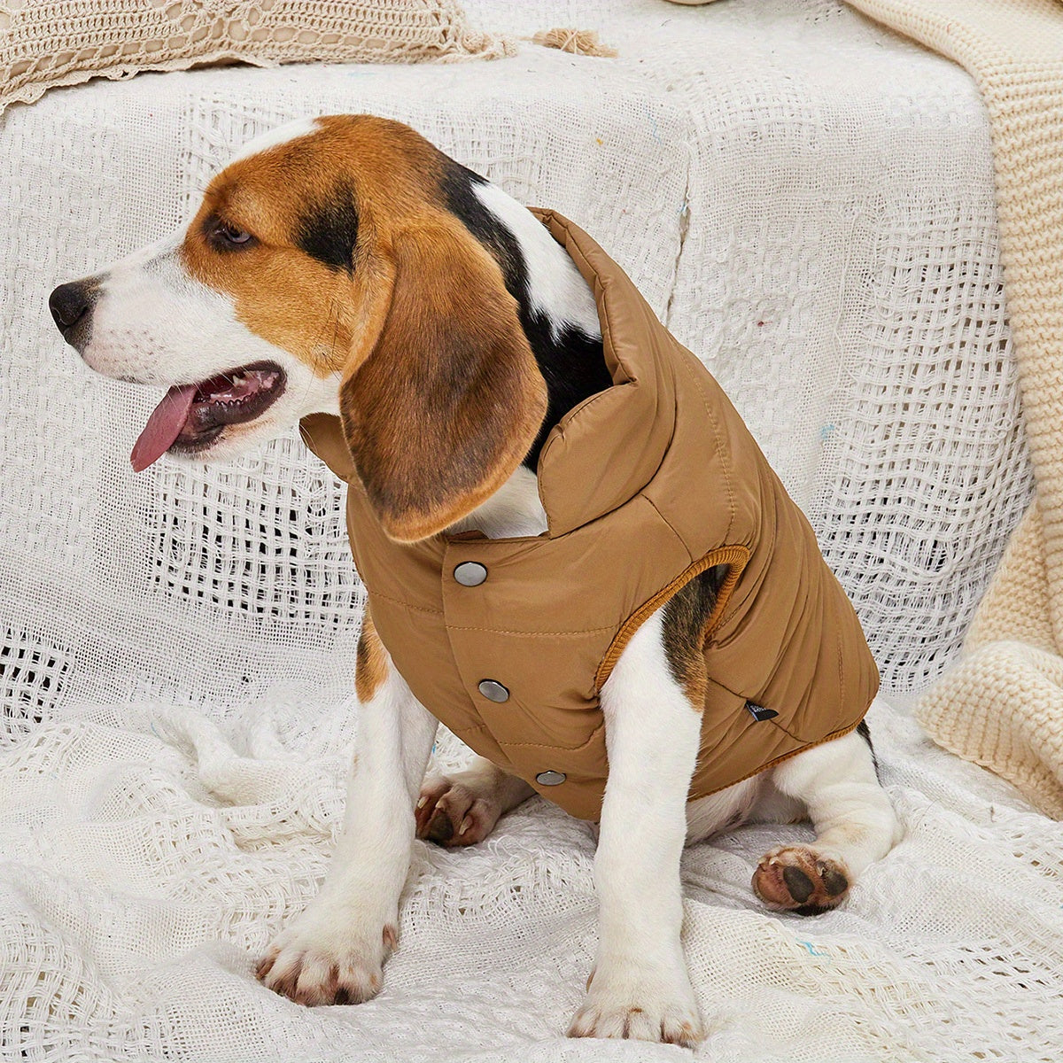 Small Med Solid Color Winter Warm Thickened Padded Pet Jacket Soft Comfortable
