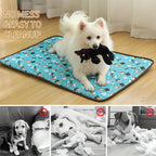 5-Pack Squeaky Dog Toy Set - No Stuffing and Plush Toy Squeakers