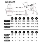 Custom Dog Hoodie Personality Printed Sweatshirt Cotton Dog