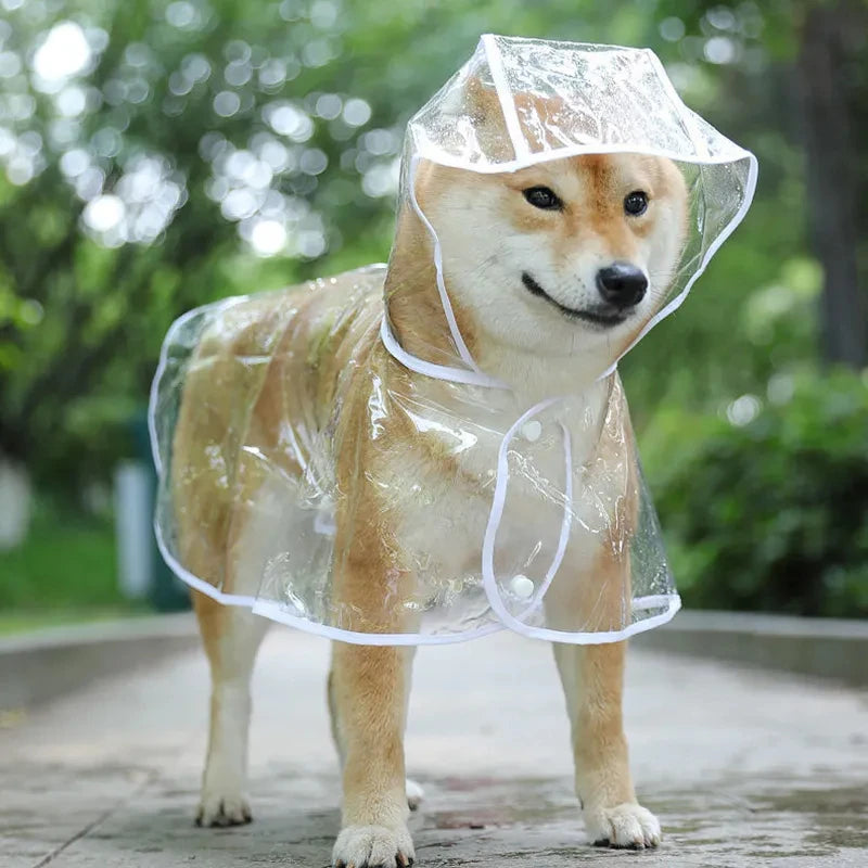 Transparent Rainwear Pet Hooded Waterproof Jacket Small Dogs