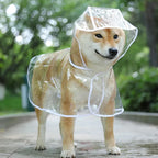 Transparent Rainwear Pet Hooded Waterproof Jacket Small Dogs