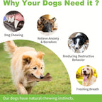 Simulation Dog Bone Toy Chewing Interactive Beef Fragrance Tooth Care Stick