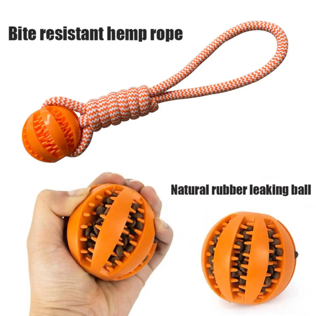 Interactive Rope Rubber Leaking Balls for Small Medium Dogs