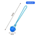 Bouncy Rubber Ball Chew Dog Toy Ball