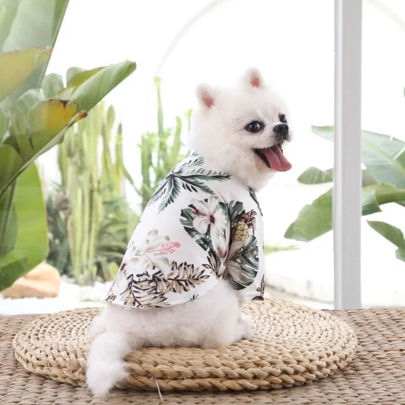 Hawaiian Beach Style Thin Breathable Dogs