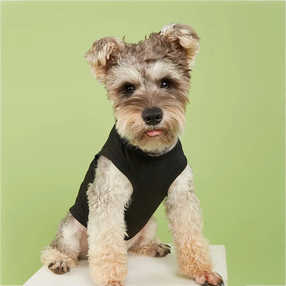 Funny Summer Small Pet Shirts Cool Breathable Dog Outfit Soft Shirt