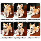 Soft Interactive Dog Toy