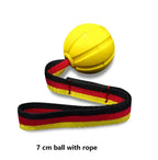 Ball On a Rope for Small Medium Large Dogs Chewers