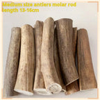 Natural Deer Antler Chew Toy for Dogs, Teeth Cleaning Bone, 500g, No Additives
