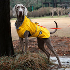 Waterproof Raincoat for Dogs Windbreaker Jacket Clothing Pet Coat