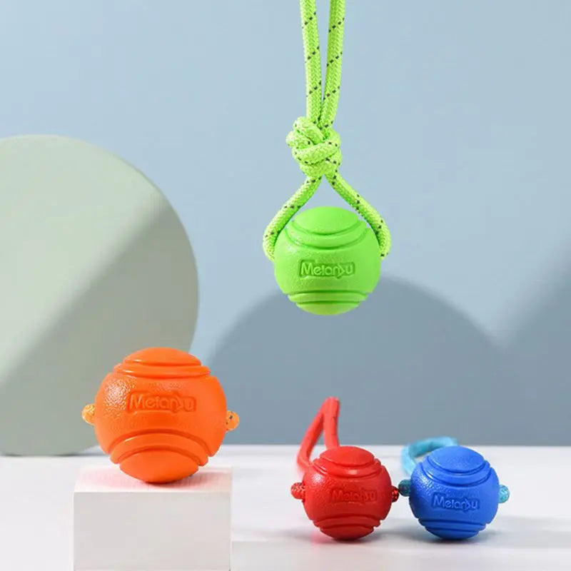 Bouncy Rubber Ball Chew Dog Toy Ball