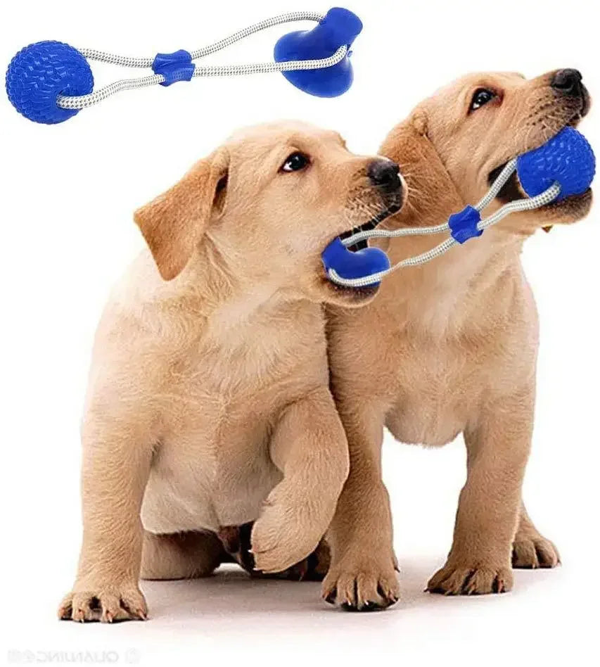 Pet Toys for Small Dogs with TPR Ball, Pet Tooth Cleaning Chewing Toy with Suction Cup