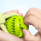 Interactive Rope Rubber Leaking Balls for Small Medium Dogs