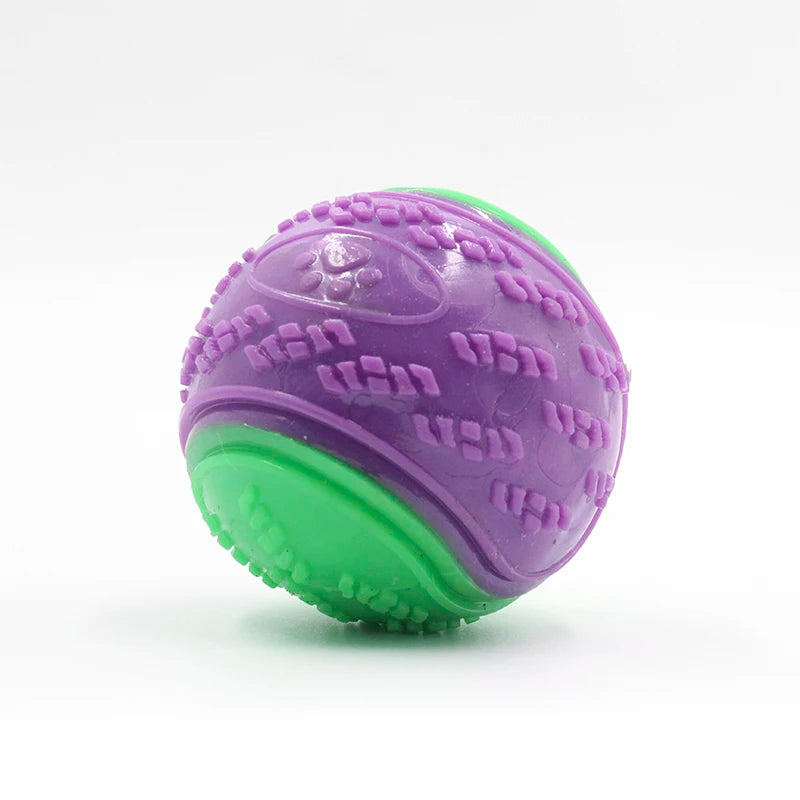 Interactive Soft TPR Squeaky Toy for Dogs