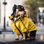 Dog Raincoat Pet Waterproof Jacket Bulldog Windbreaker Poodle Pug Bichon Puppy Coat Rainwear PU S-5XL High Quality Dog Raincoat