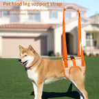 Adjustable Dog Sling Back Legs Hip Support Pet Accessories for Ligament Rehabilitation