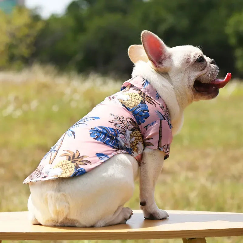 Hawaiian Beach Style Thin Breathable Dogs