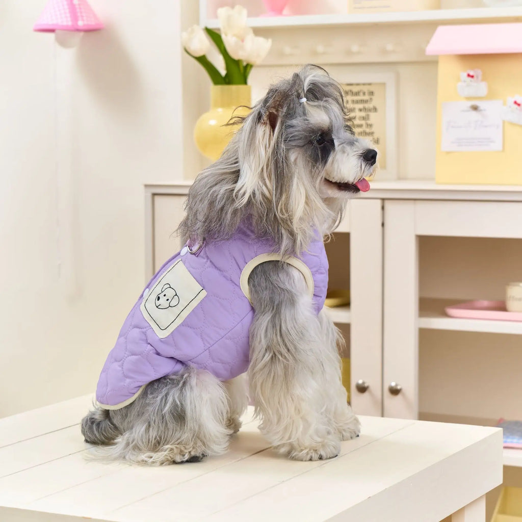 Windproof Winter Vest, Cozy Fleece for Outdoor Walk for small medium dogs