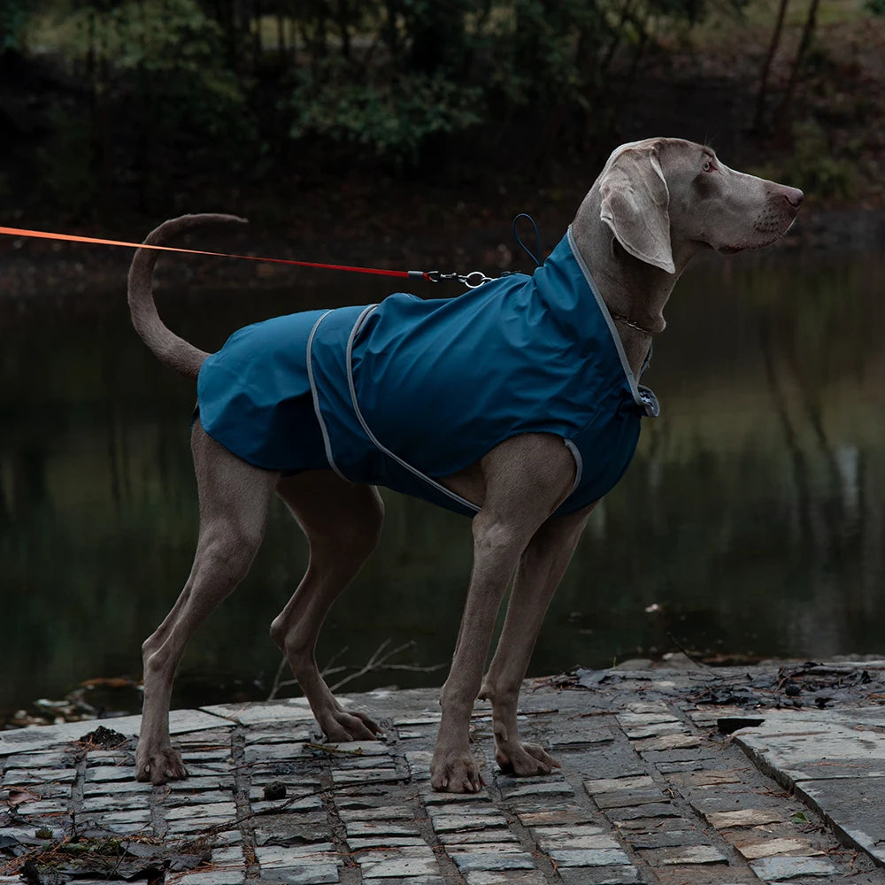 Waterproof Raincoat for Dogs Windbreaker Jacket Clothing Pet Coat