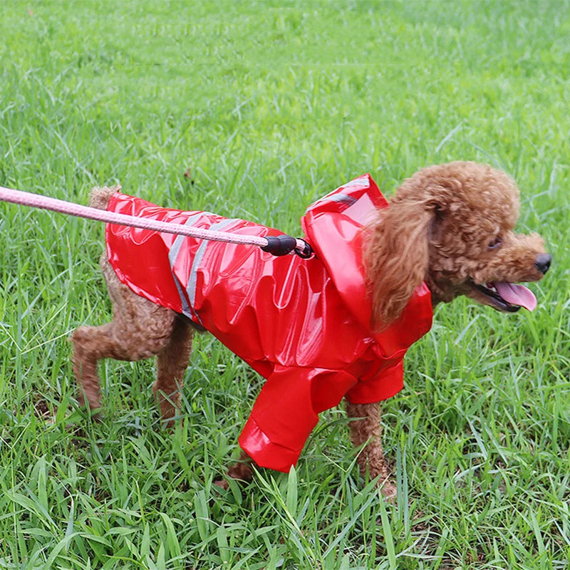 Raincoat Reflective Waterproof Snowproof Pet Coat for Small Dogs