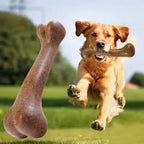 Bone Chews Toys Natural Non-Toxic Anti-bite Toys For Dog Chew Toy