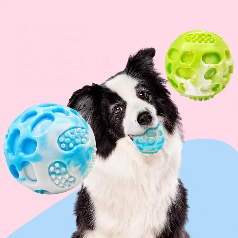 Pet dog toy durable, suitable for use during outdoor training.