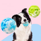 Pet dog toy durable, suitable for use during outdoor training.