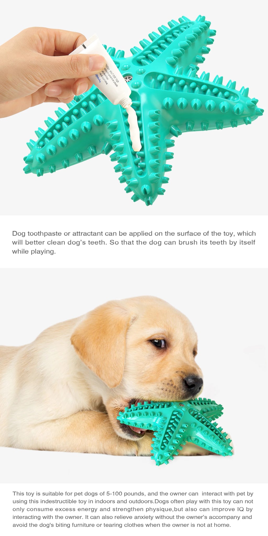 For Large Dogs Tooth Cleaning Chew Funny Interactive Training Starfish Toy