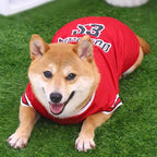 Pet Clothing Medium Large Dogs Thin T-shirt Casual Dog Outfits