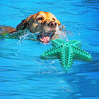 For Large Dogs Tooth Cleaning Chew Funny Interactive Training Starfish Toy