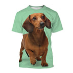 Funny Dachshund T-Shirts 3D Printed Streetwear Fashion Short Sleeve T Shirt Tees Tops