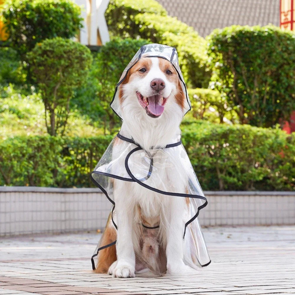 Transparent Pet Raincoat Comprehensive Medium and Large dogs