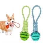 Interactive Rope Rubber Leaking Balls for Small Medium Dogs