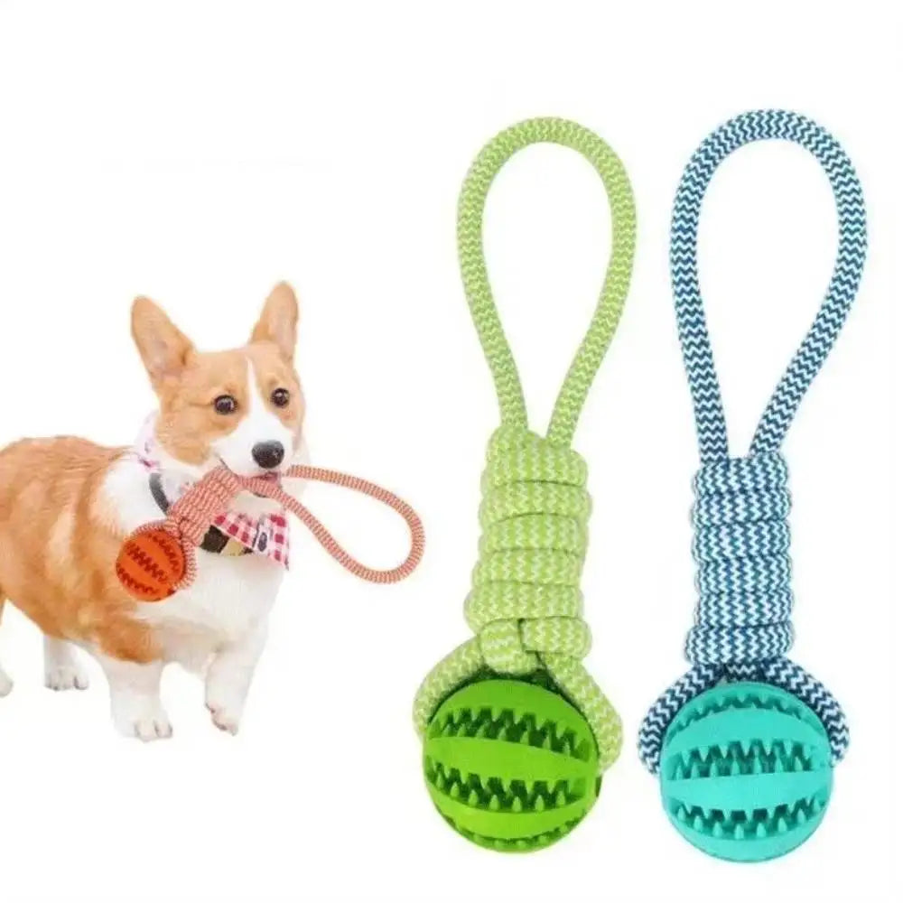 Interactive Rope Rubber Leaking Balls for Small Medium Dogs