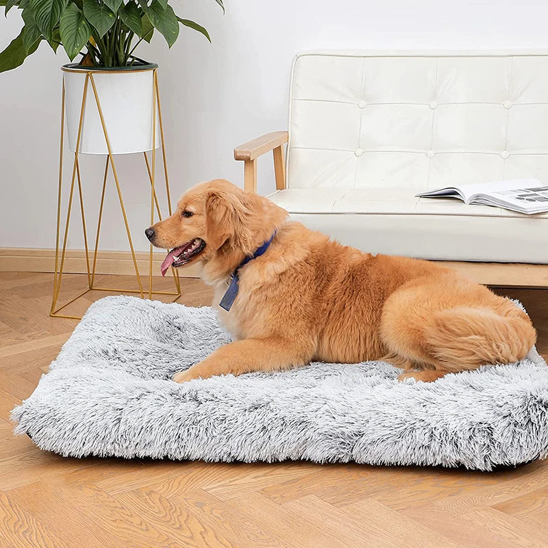 Plush Bed Mat for Small Medium Large Dogs Removable for Cleaning Super Soft