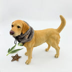 Dog Noise-Proof Ear Cups Soothing Emotion Headgear Scarf Ear Protectors