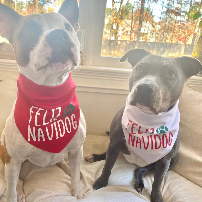 Feliz Navidog Feliz Navidad Pet Photo props
